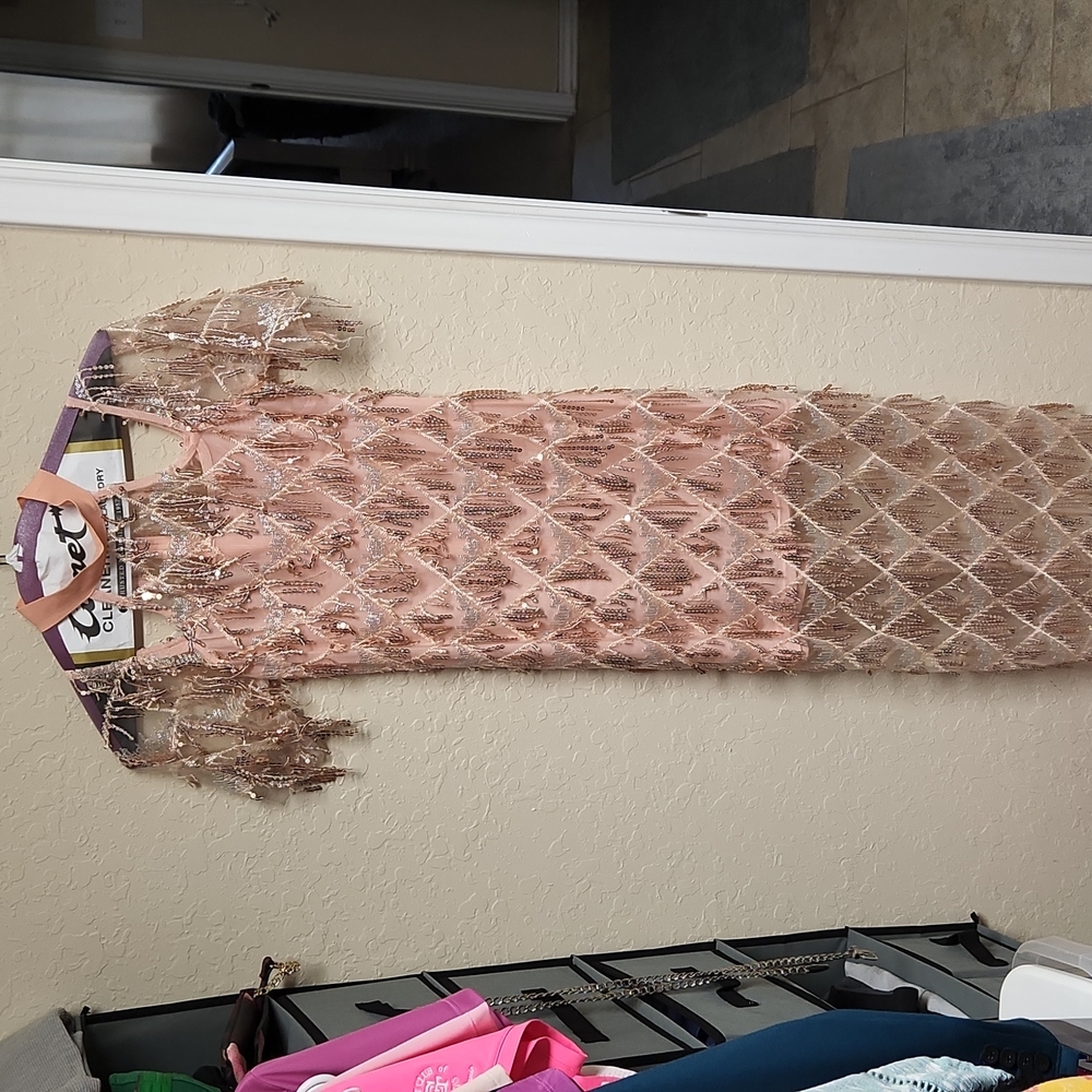 Rose gold fringe dress